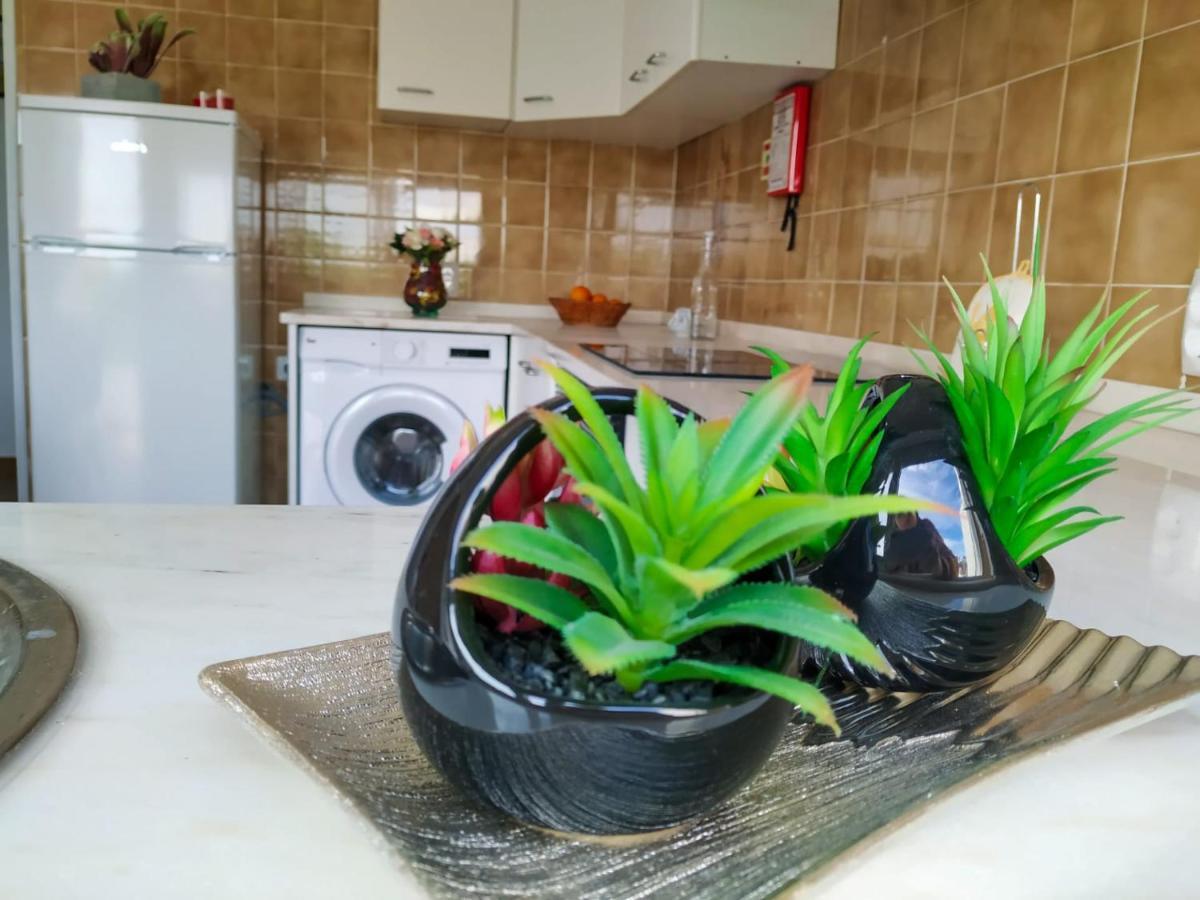 فندق Casa Vaz Grândola المظهر الخارجي الصورة